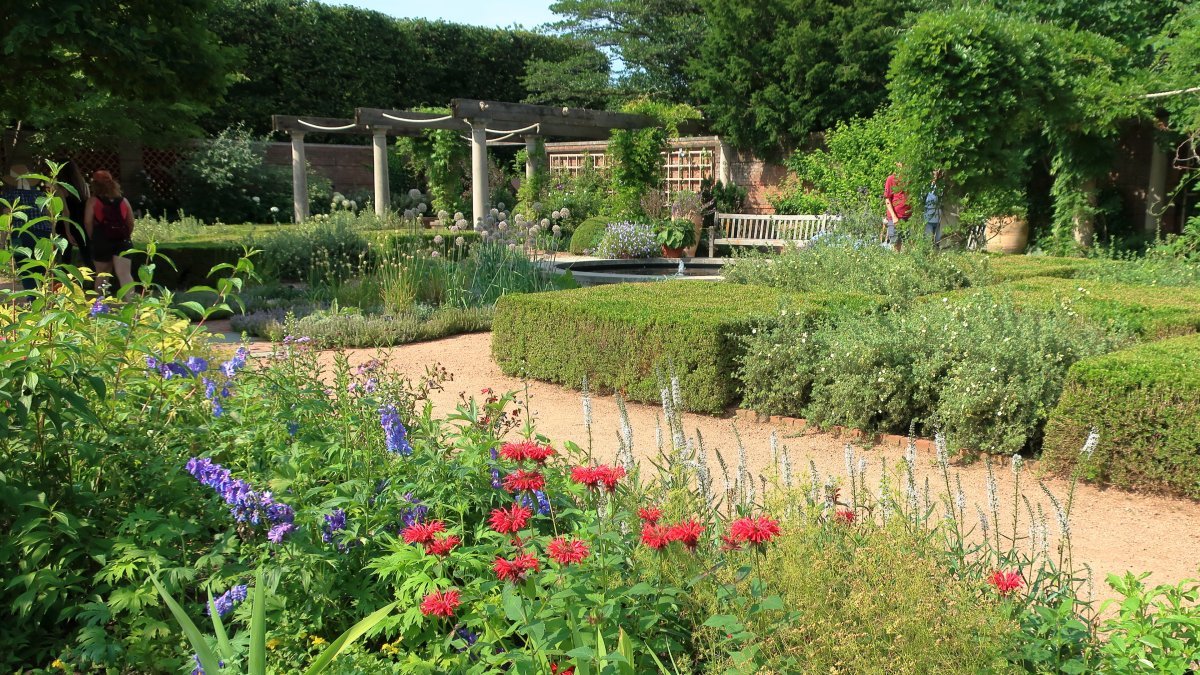 Монарда Кембридж Скарлет