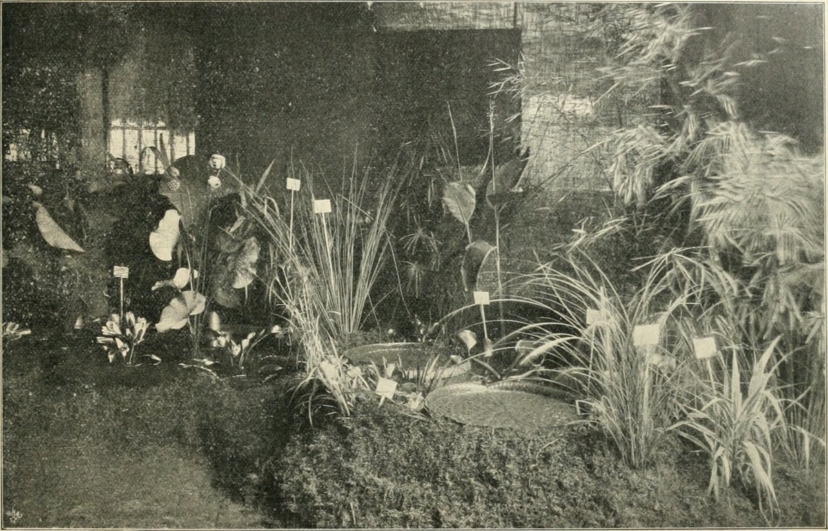 Канна Штутгарт - фото 2