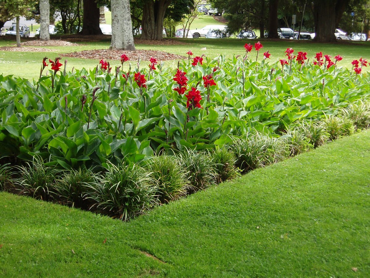 Канна Президент - фото 6