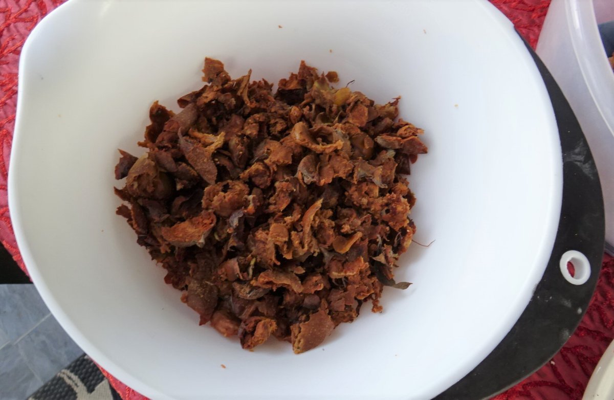 Мушмула германская - фото 3