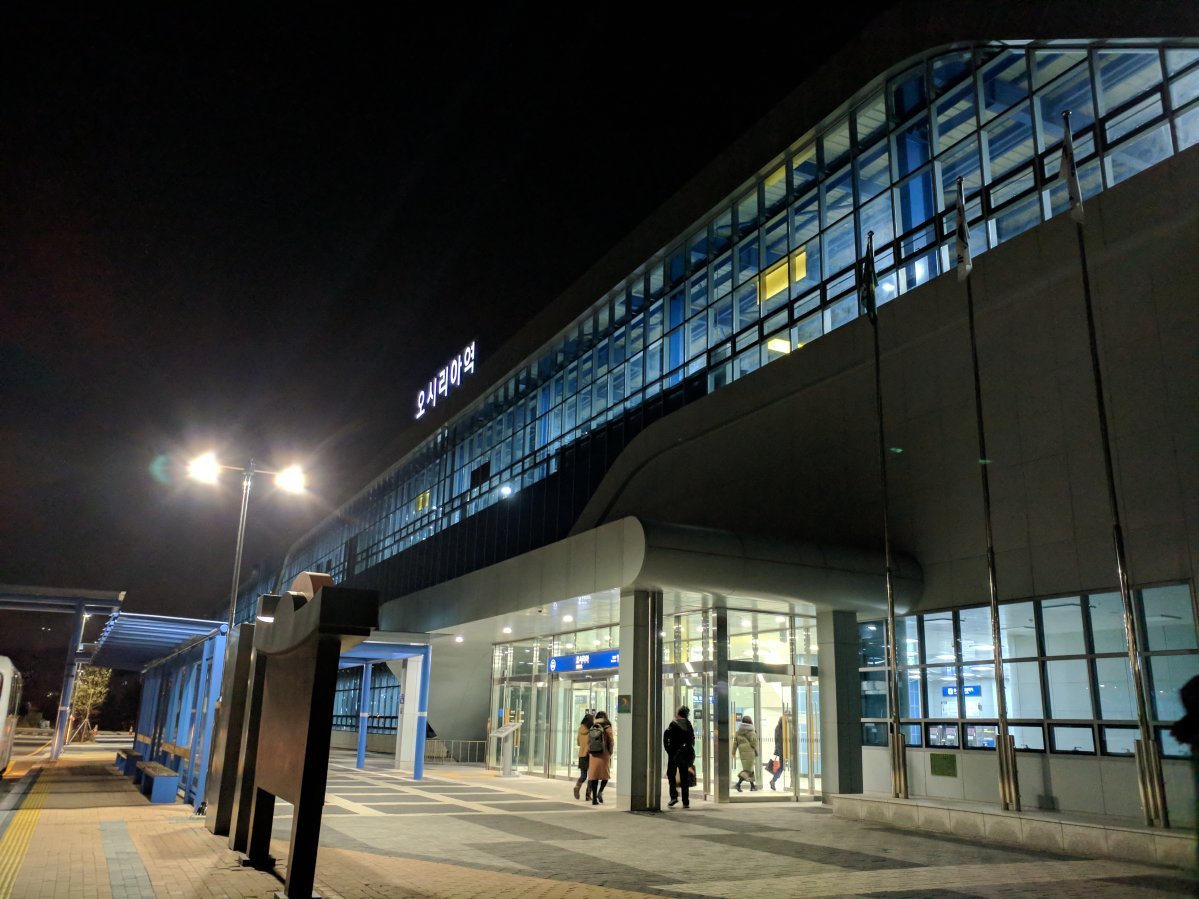 Роза чайно-гибридная Осирия - фото 3