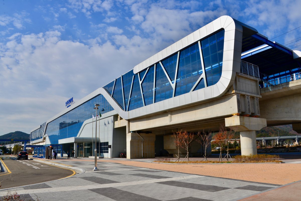 Роза чайно-гибридная Осирия - фото 8