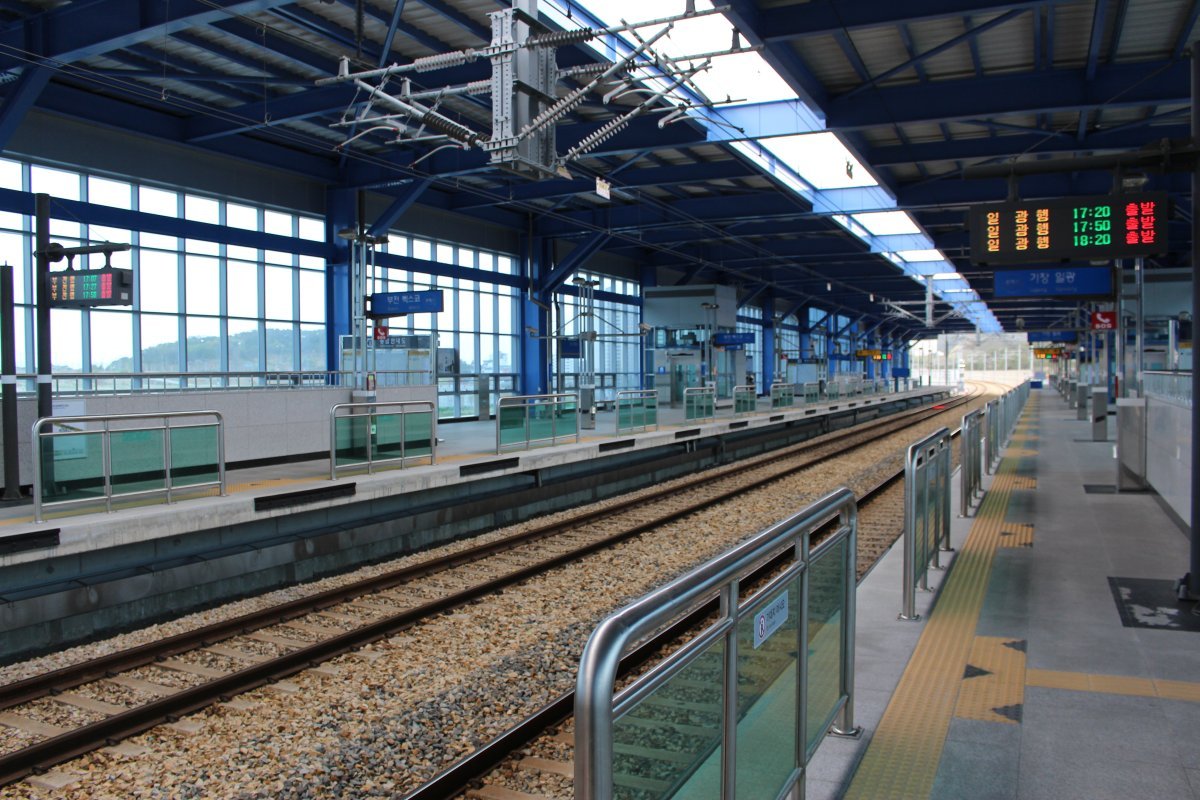 Роза чайно-гибридная Осирия - фото 11