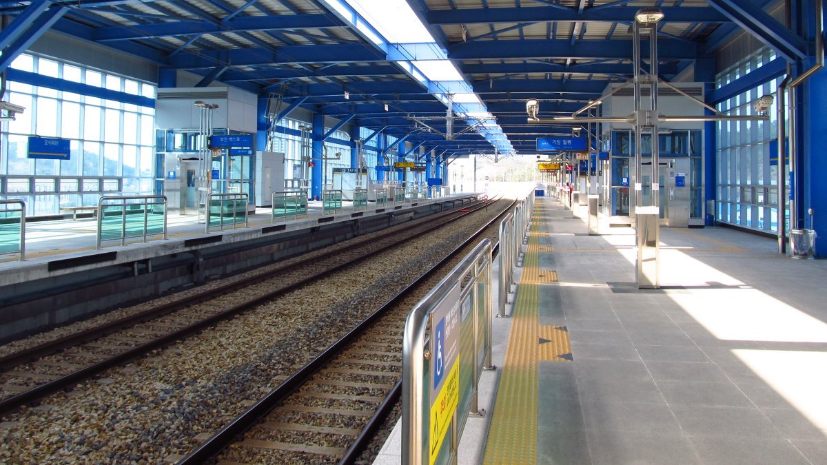 Роза чайно-гибридная Осирия - фото 6