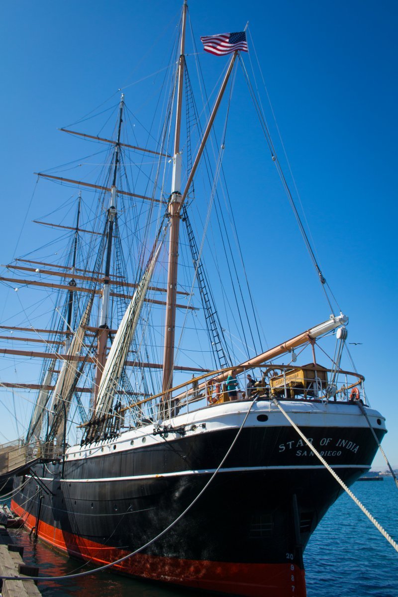 Клематис Стар оф Индия крупноцветковый - фото 5