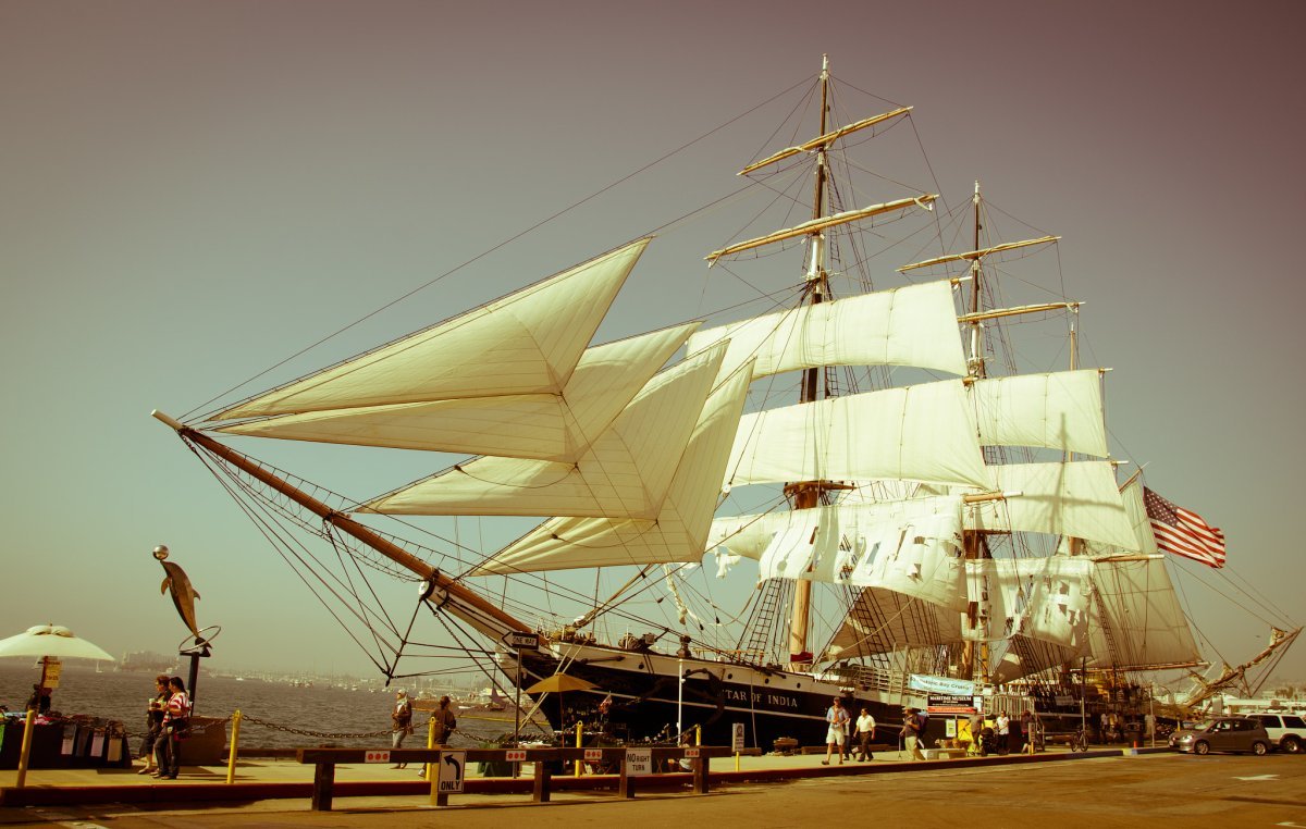 Клематис Стар оф Индия крупноцветковый - фото 4