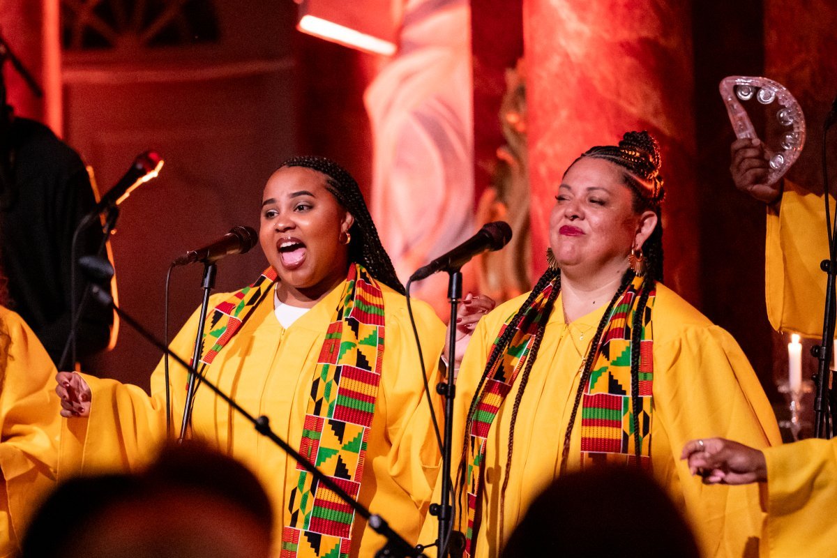 Роза Джаз почвопокровная - фото 7