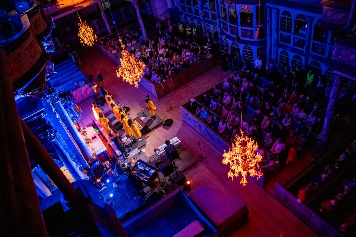 Роза Джаз почвопокровная - фото 3