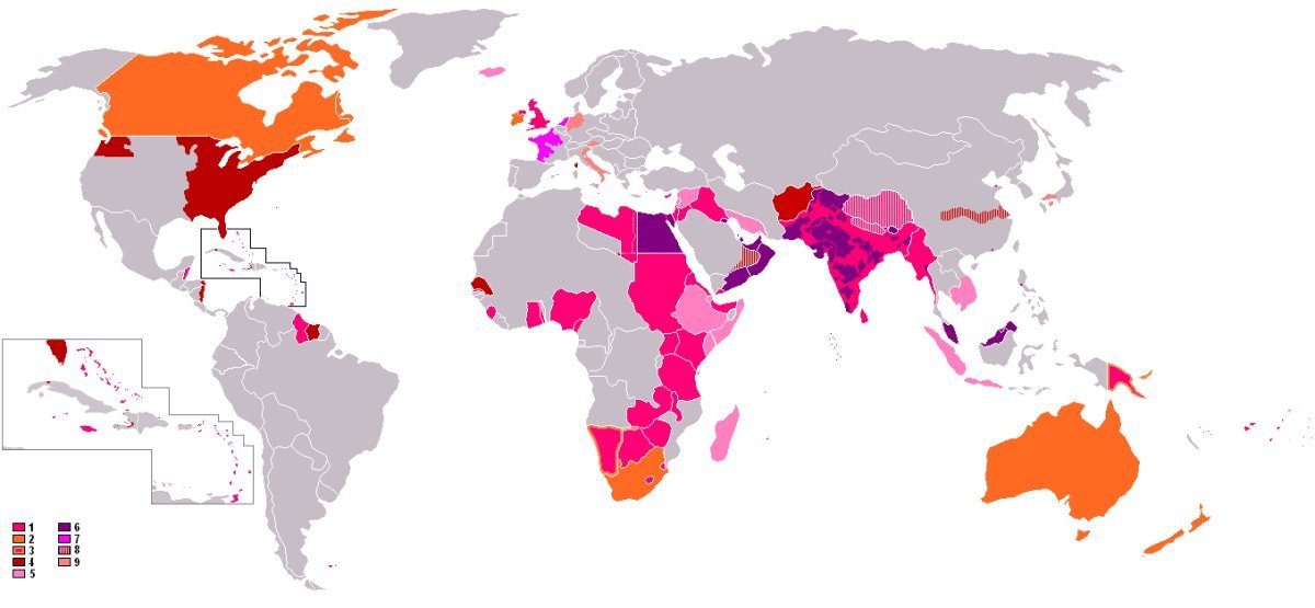 Роза флорибунда Ред Эмпаер - фото 2