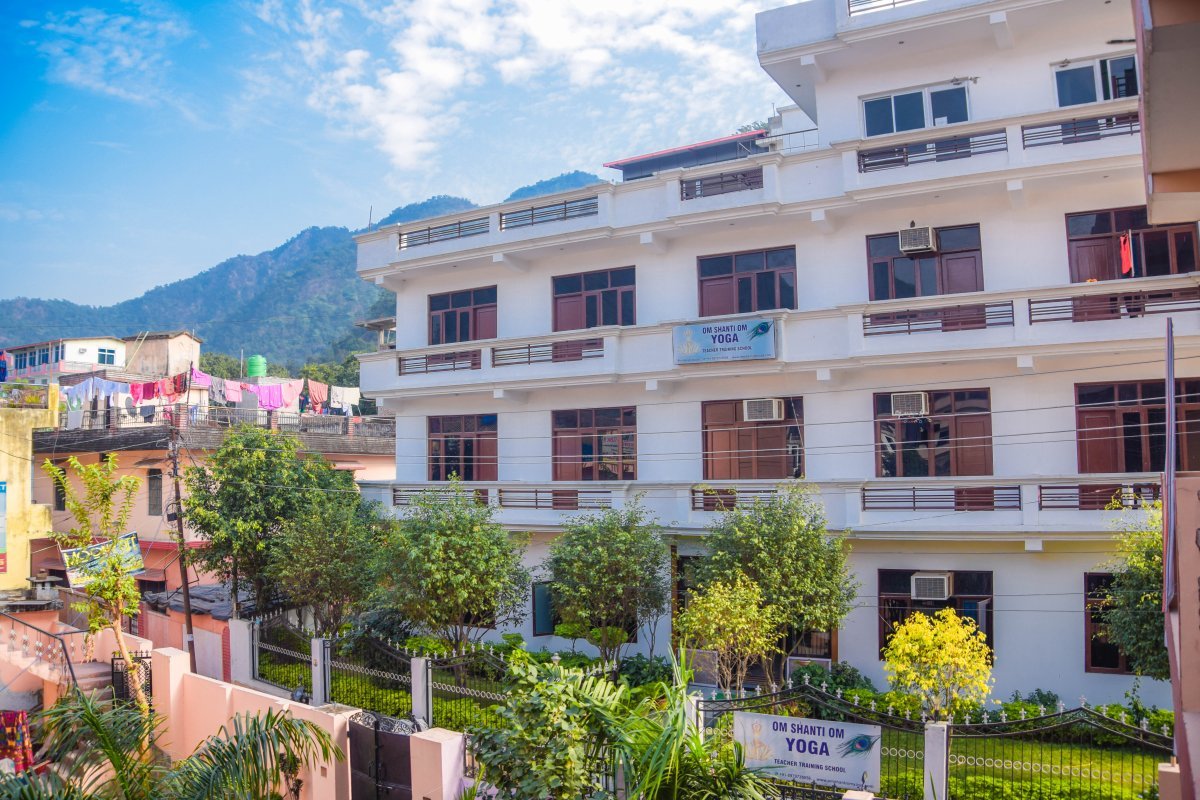 Роза Ашрам чайно-гибридная - фото 3