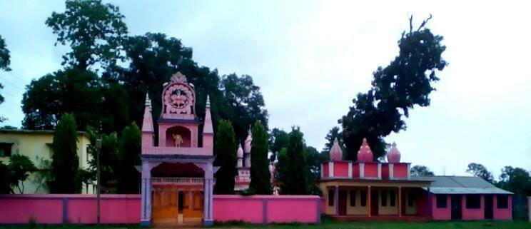 Роза Ашрам чайно-гибридная - фото 4