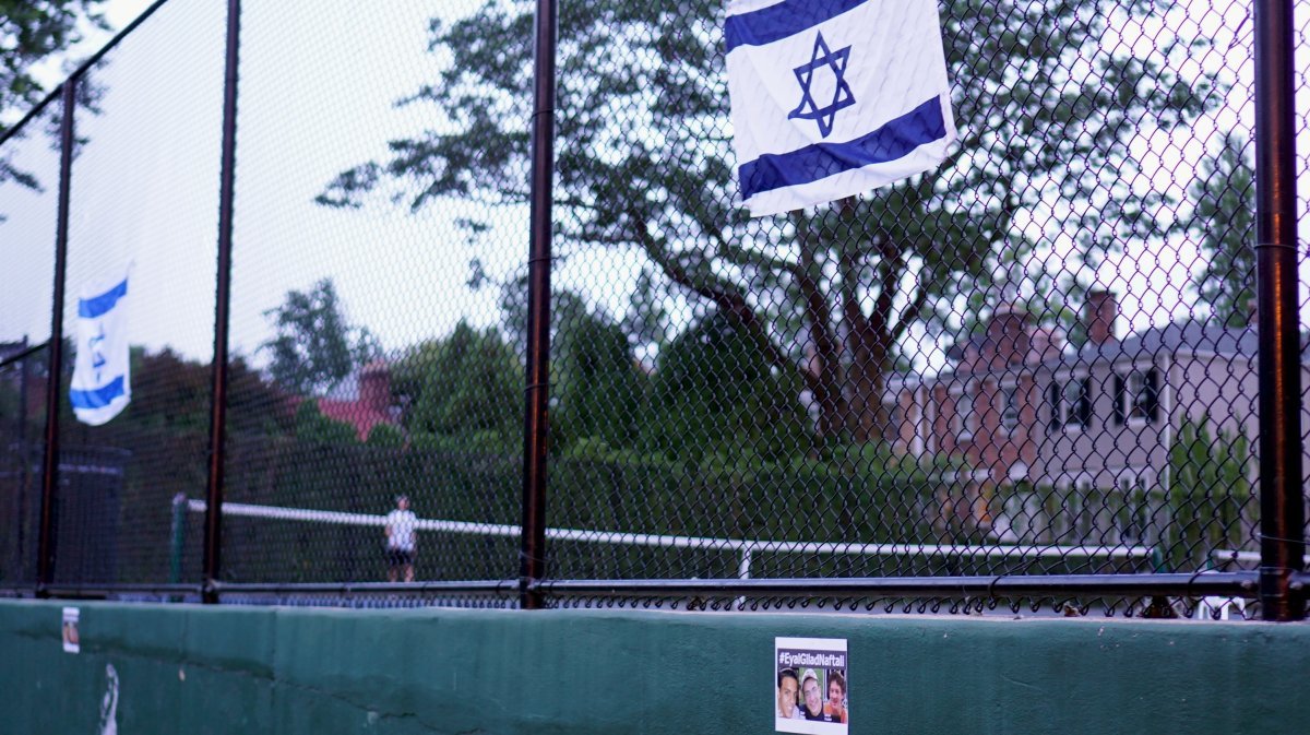 Роза Кэндллайт чайно-гибридная - фото 4