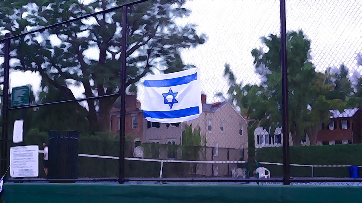 Роза Кэндллайт чайно-гибридная - фото 2