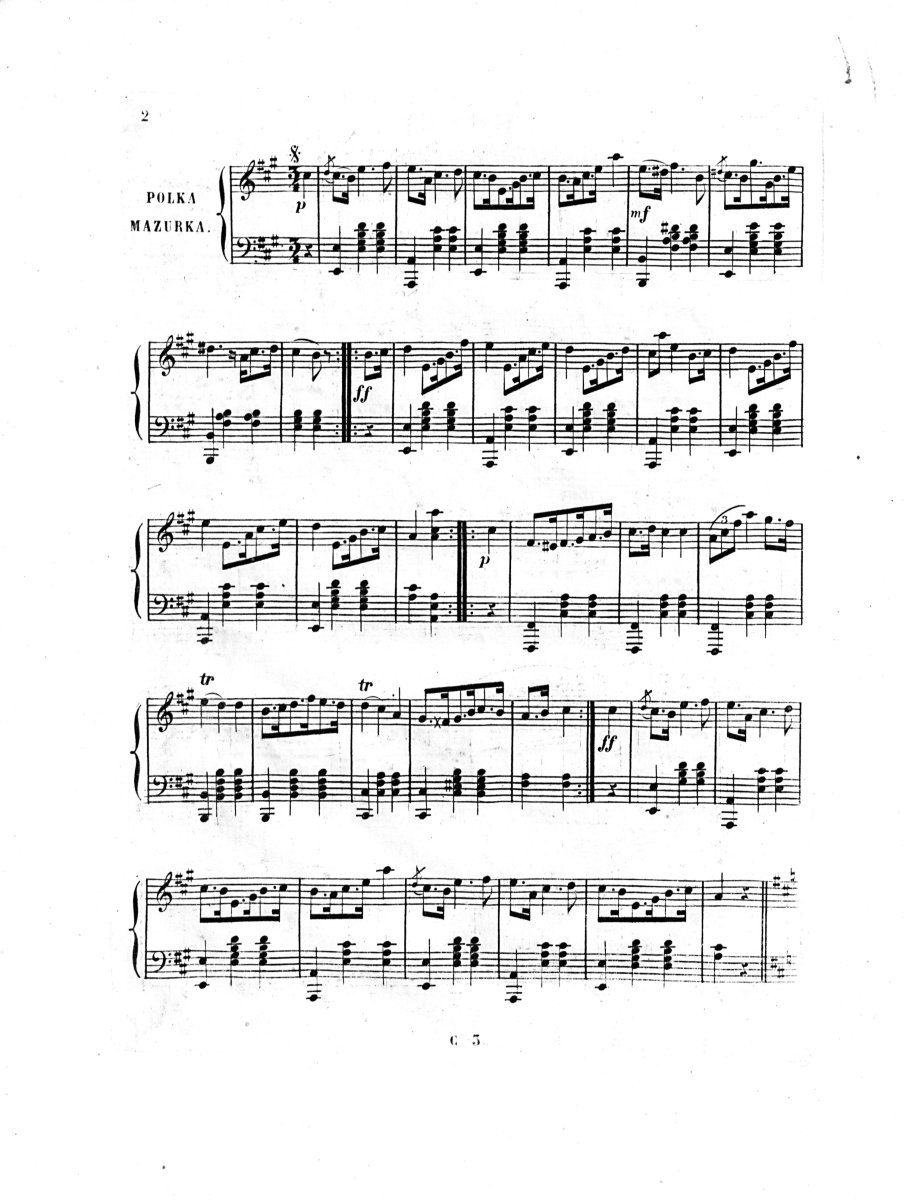 Роза плетистая Полька - фото 11