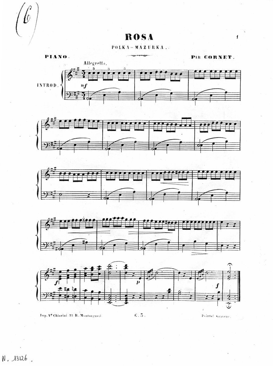 Роза плетистая Полька - фото 10