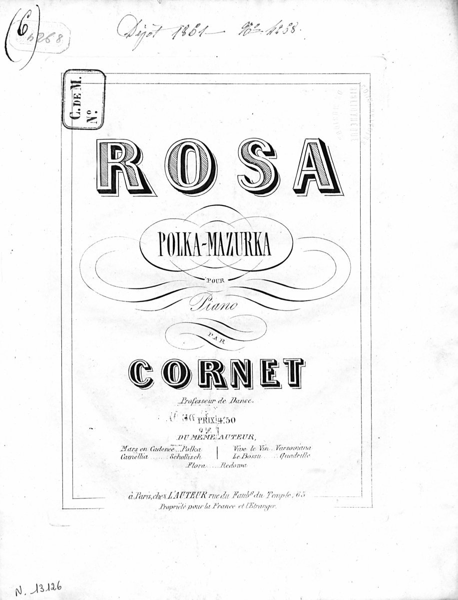 Роза плетистая Полька - фото 8