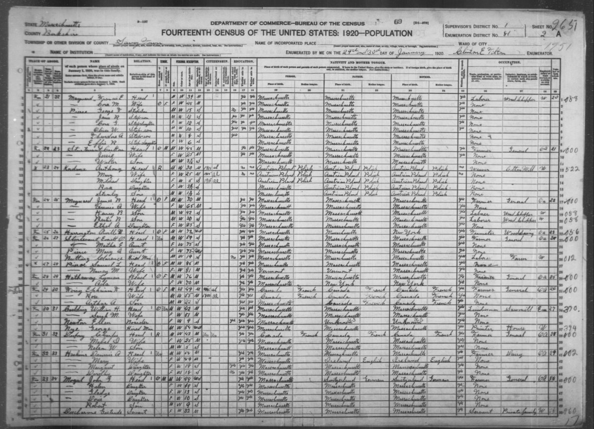 Роза флорибунда Анни Дюпрей - фото 2