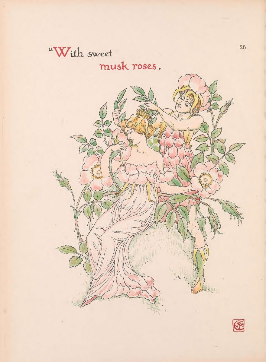 Роза флорибунда Мид Саммер - фото 2