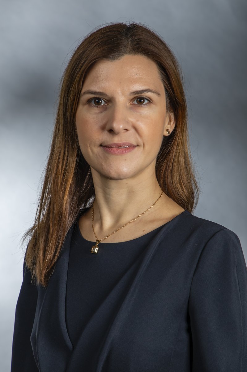 Роза плетистая Жасмина - фото 2