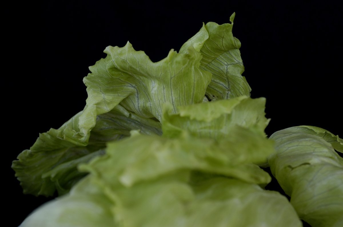 Салат Мэй Кинг кочанный