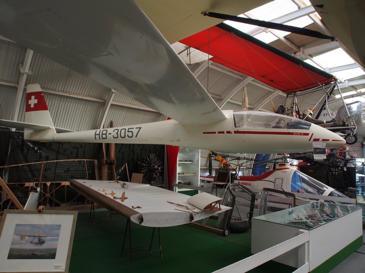 Роза плетистая Эльф - фото 9