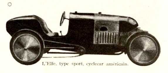 Роза плетистая Эльф - фото 6