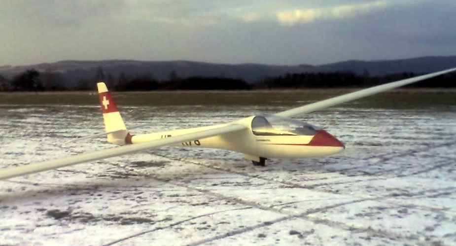 Роза плетистая Эльф - фото 4