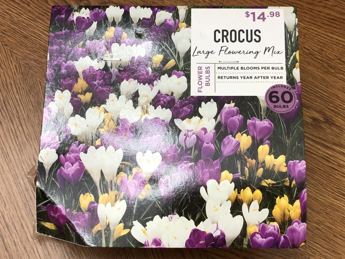 Крокус крупноцветковый Микс