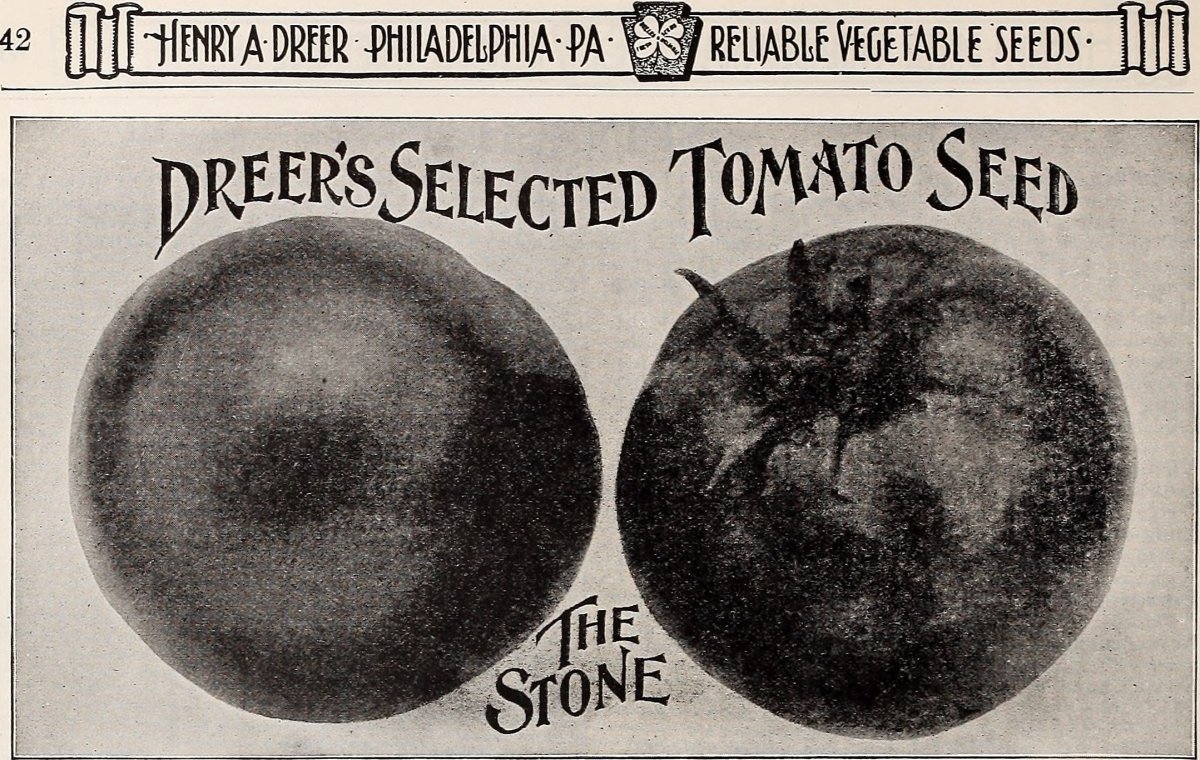 Томат Красные дольки - фото 5