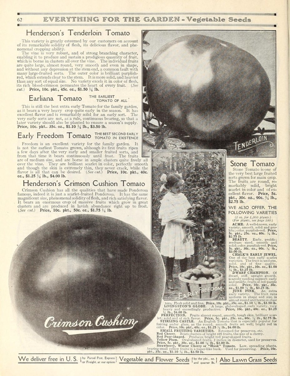 Томат Розовое сердце