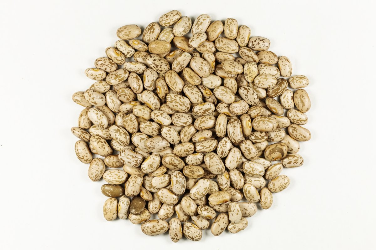 Фасоль овощная Бона - фото 3