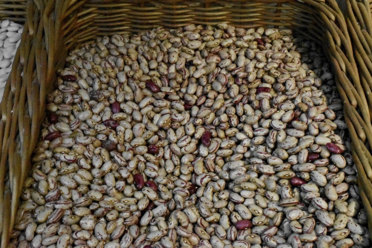 Фасоль овощная Бона