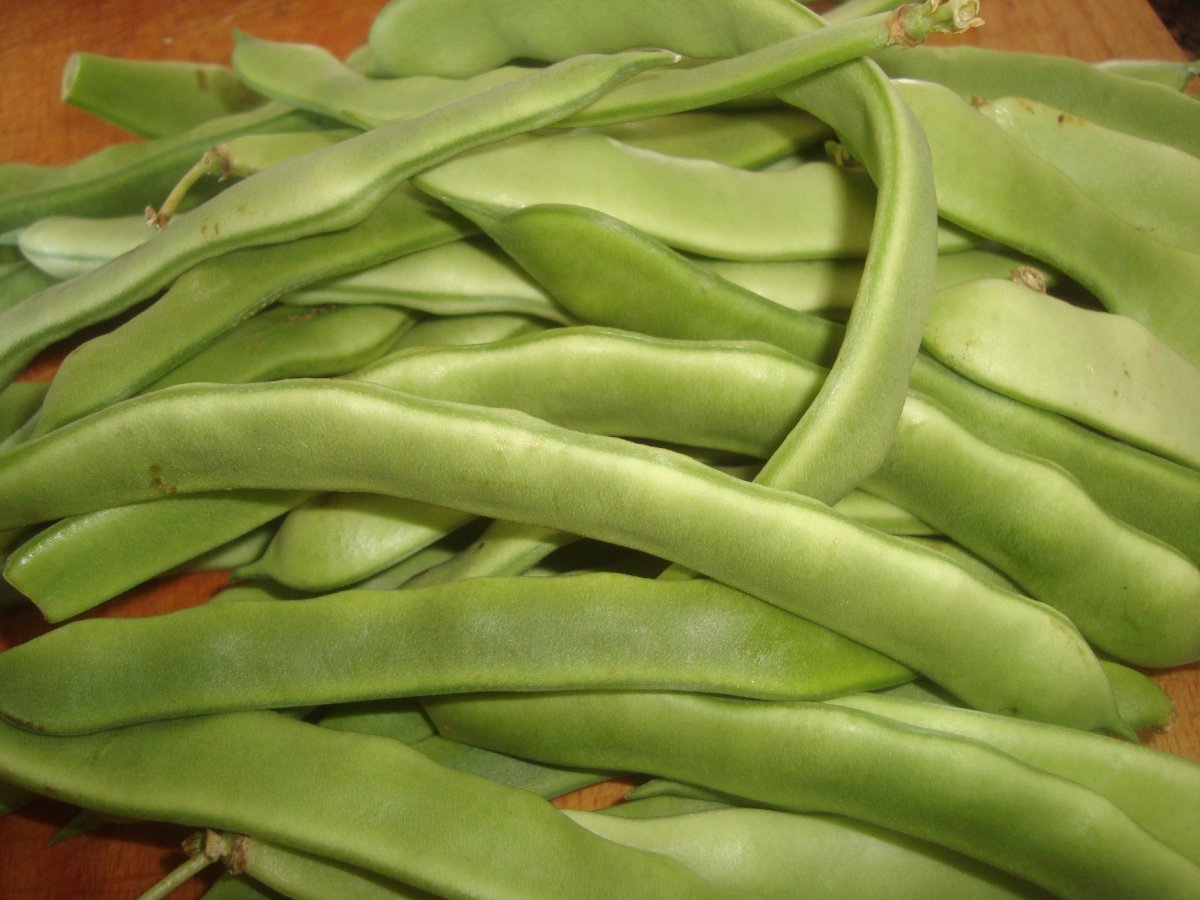 Фасоль овощная Снежная королева - фото 4