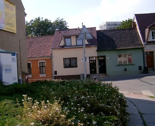 Лапчатка кустарниковая Ред Айс - фото 3