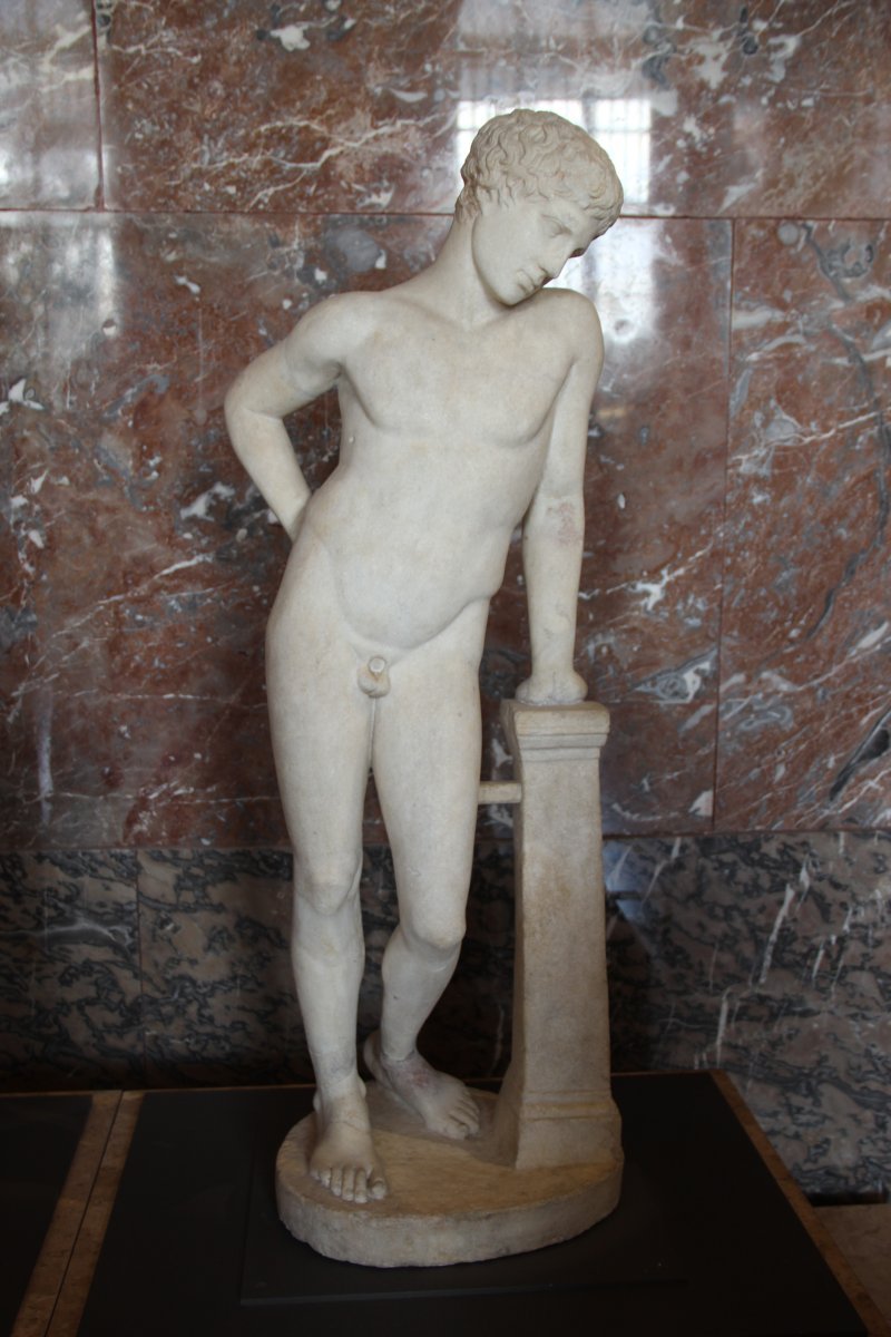 Гиацинт садовый Лувр - фото 7