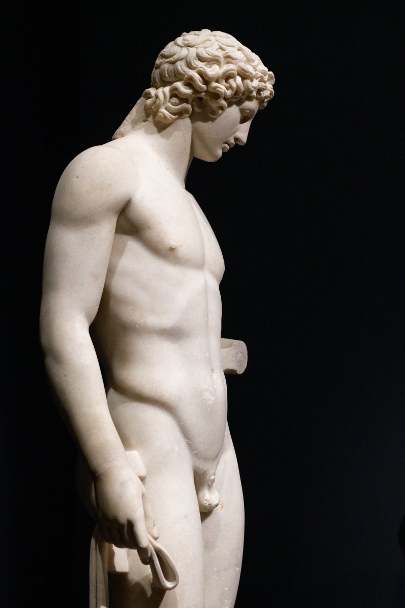 Гиацинт садовый Лувр - фото 5