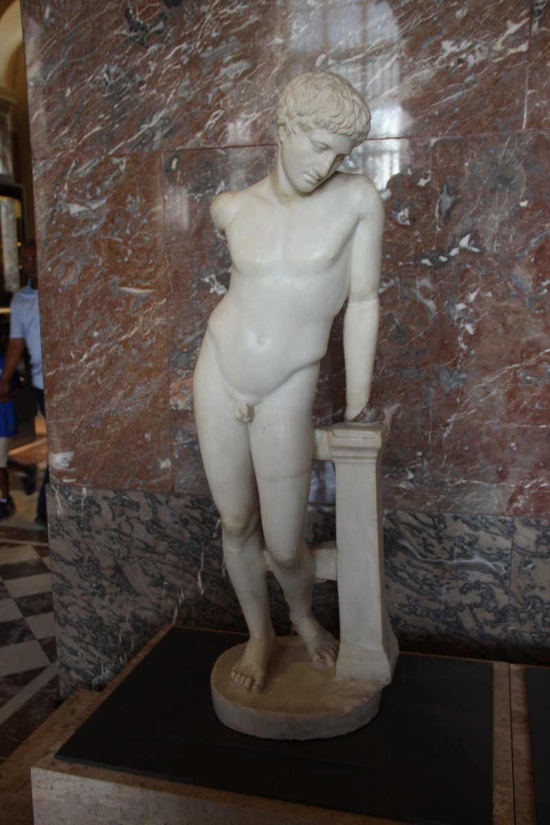 Гиацинт садовый Лувр - фото 6