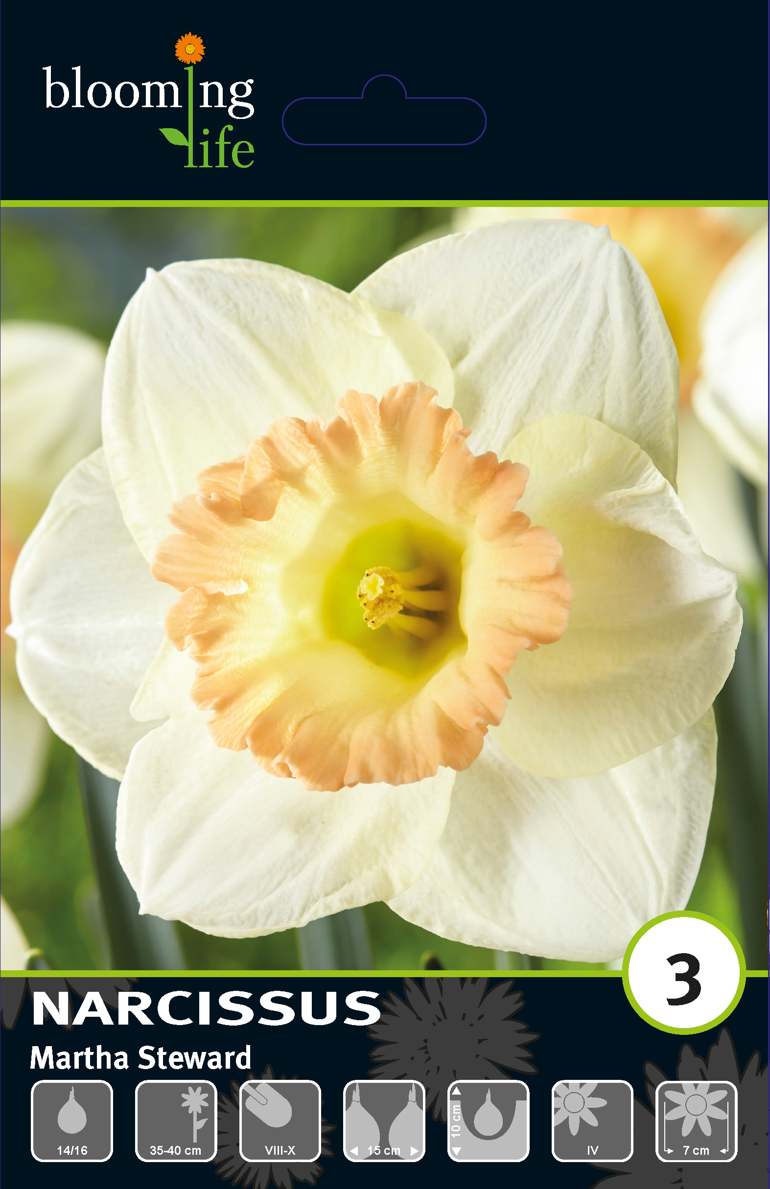 Нарцисс крупнокорончатый Марта Стьворд