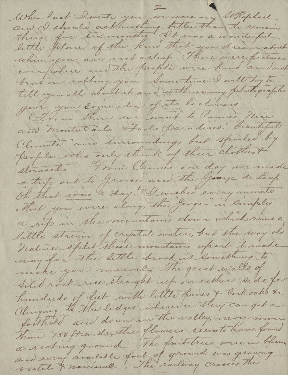 Нарцисс крупнокорончатый Риот - фото 3