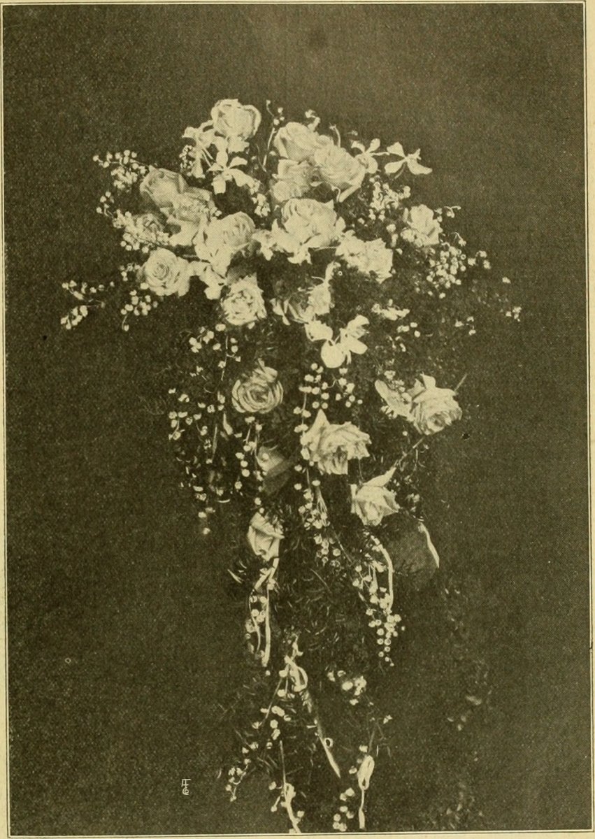 Нарцисс махровый Бридал Краун - фото 8