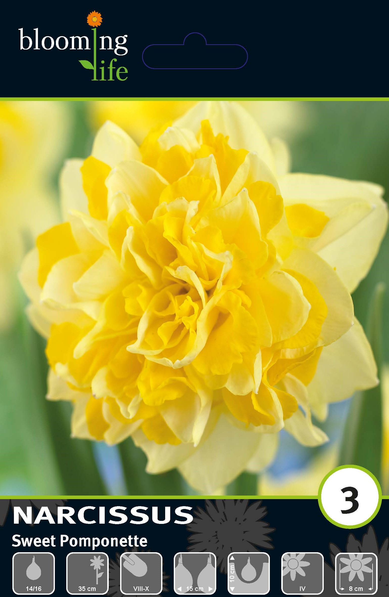 Нарцисс махровый Свит Помпонет