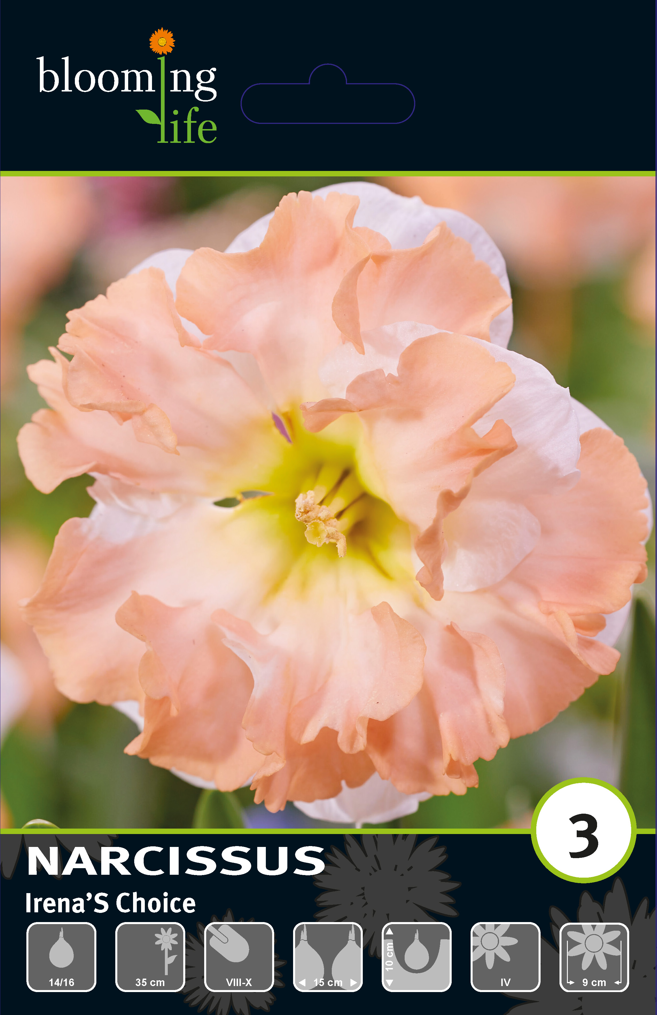 Нарцисс орхидный Иренас Чойс