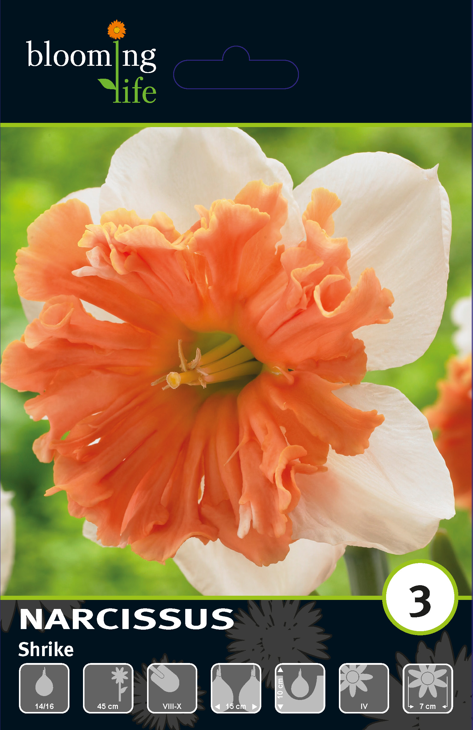 Нарцисс орхидный Шрайк