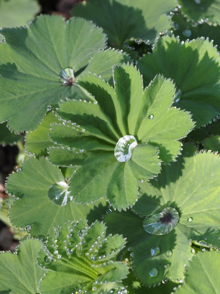 Манжетка мягкая - фото 8