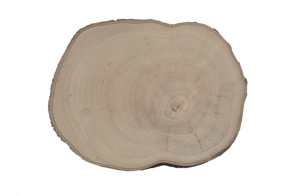 Ольха чёрная - фото 6