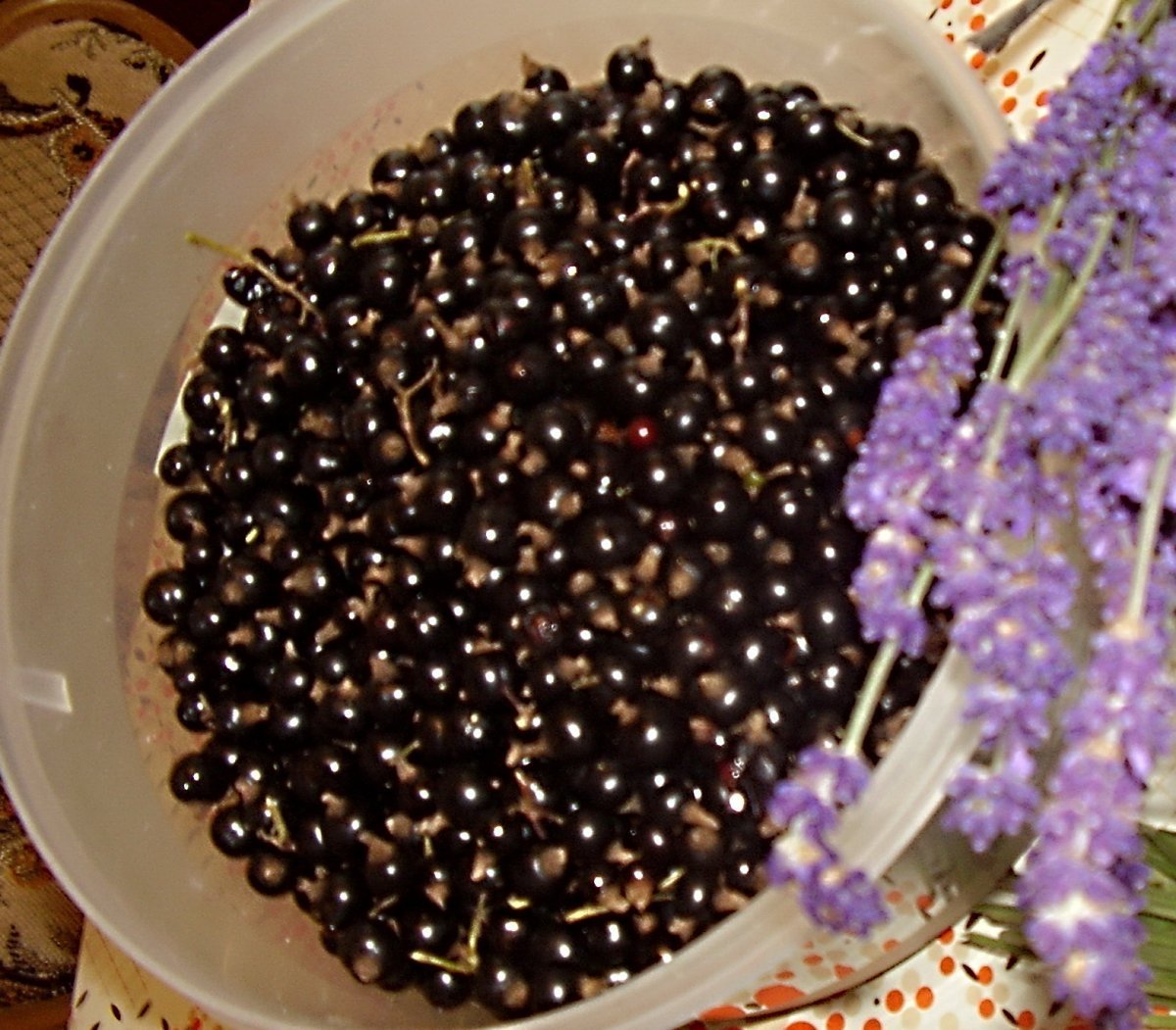 Йошта - фото 7