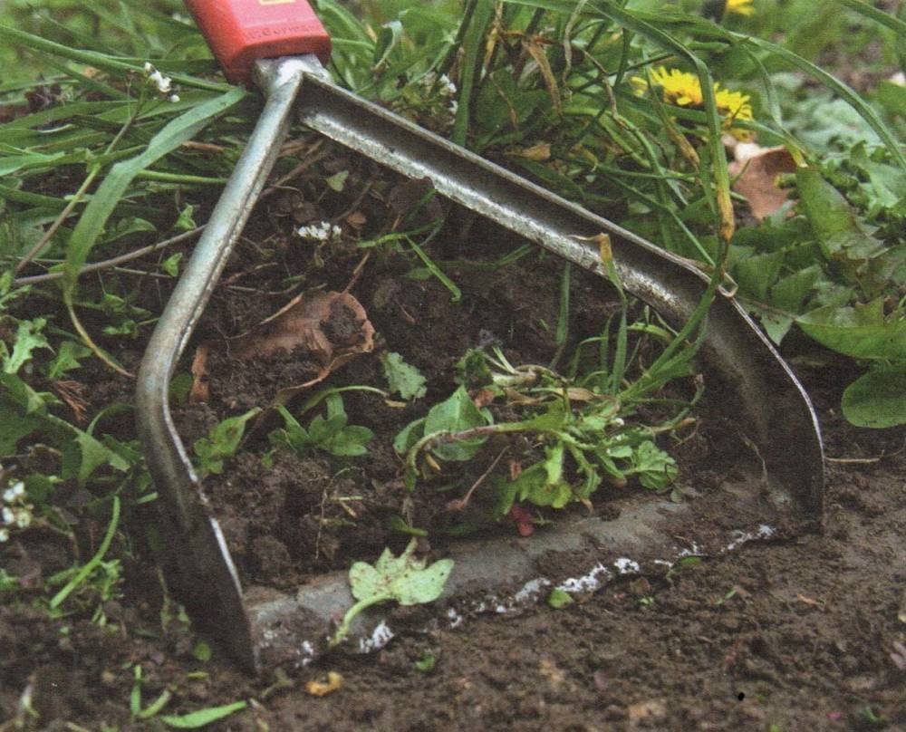 Истощение: регулярное скашивание Истощение: регулярное скашивание