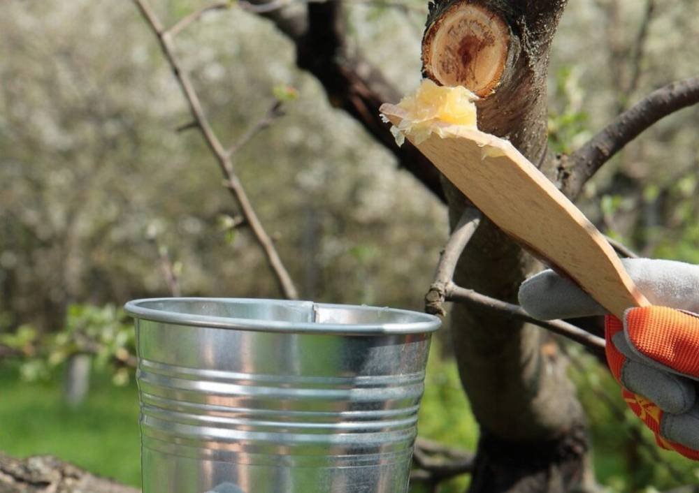 Садовый вар своими руками