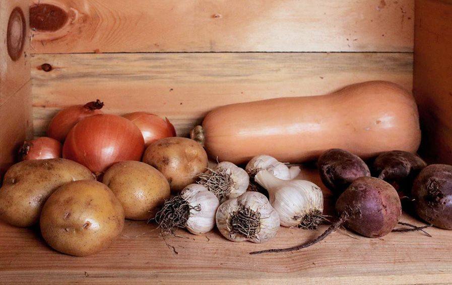 Лук и чеснок: условия для просушки и хранения